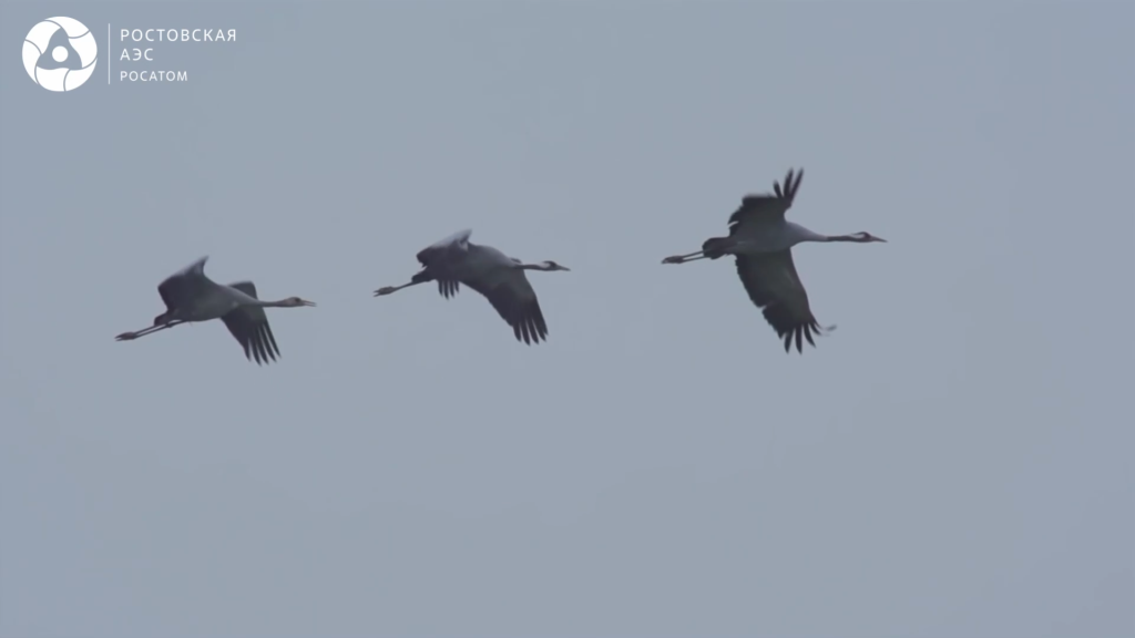 Работники Ростовской АЭС сняли видеофильм, посвященный Дню Победы