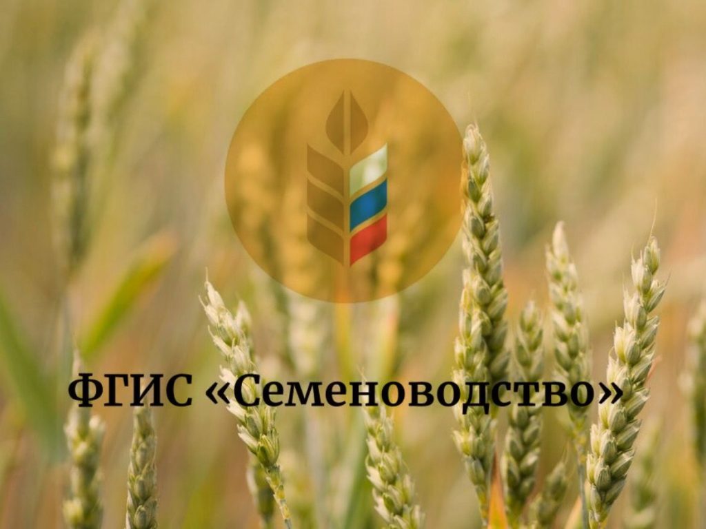 Аграриям Дона напомнили о скором начале работы системы ФГИС в области семеноводства