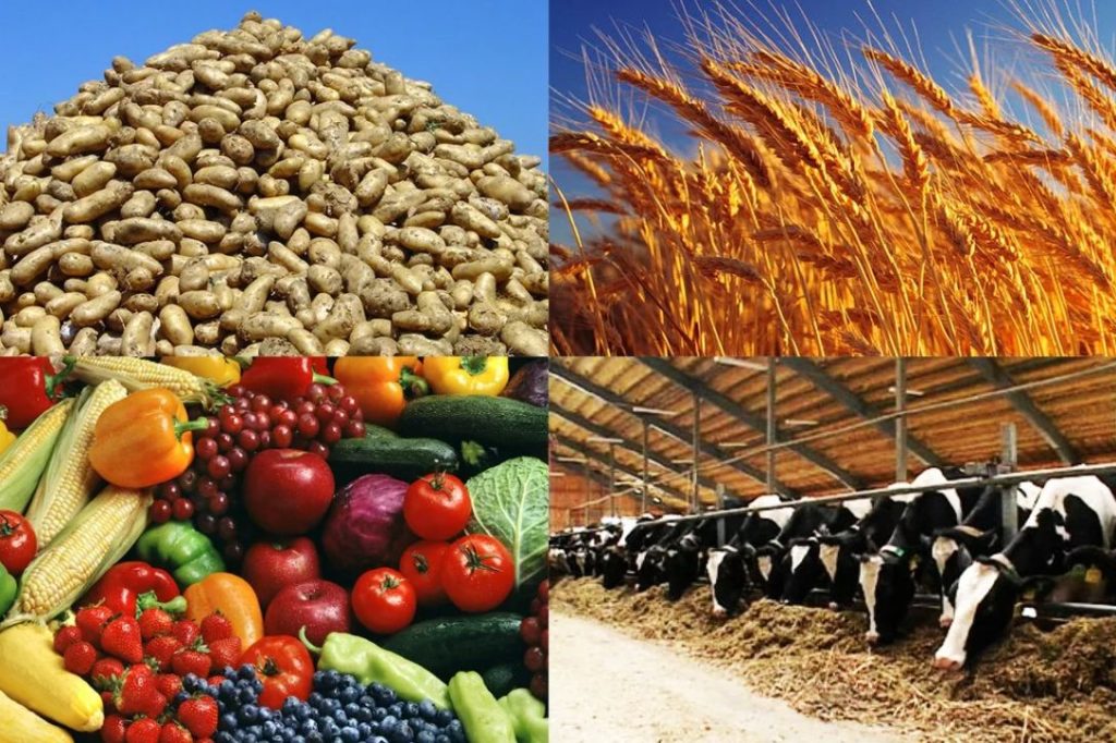 Финансирование аграриев Дона увеличено по сравнению с прошлым годом почти на 170 млн рублей