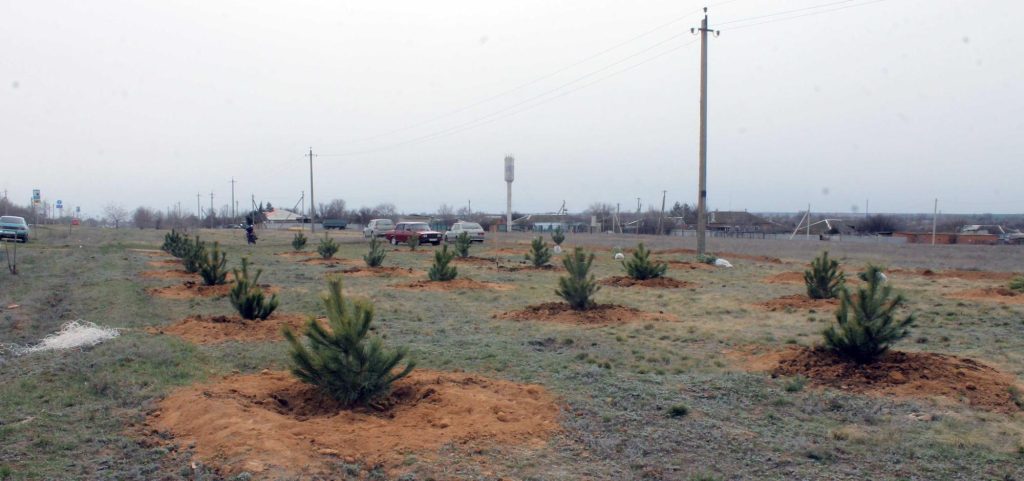 На благоустройство Заветного в 2024 году израсходовано свыше 7,5 млн руб