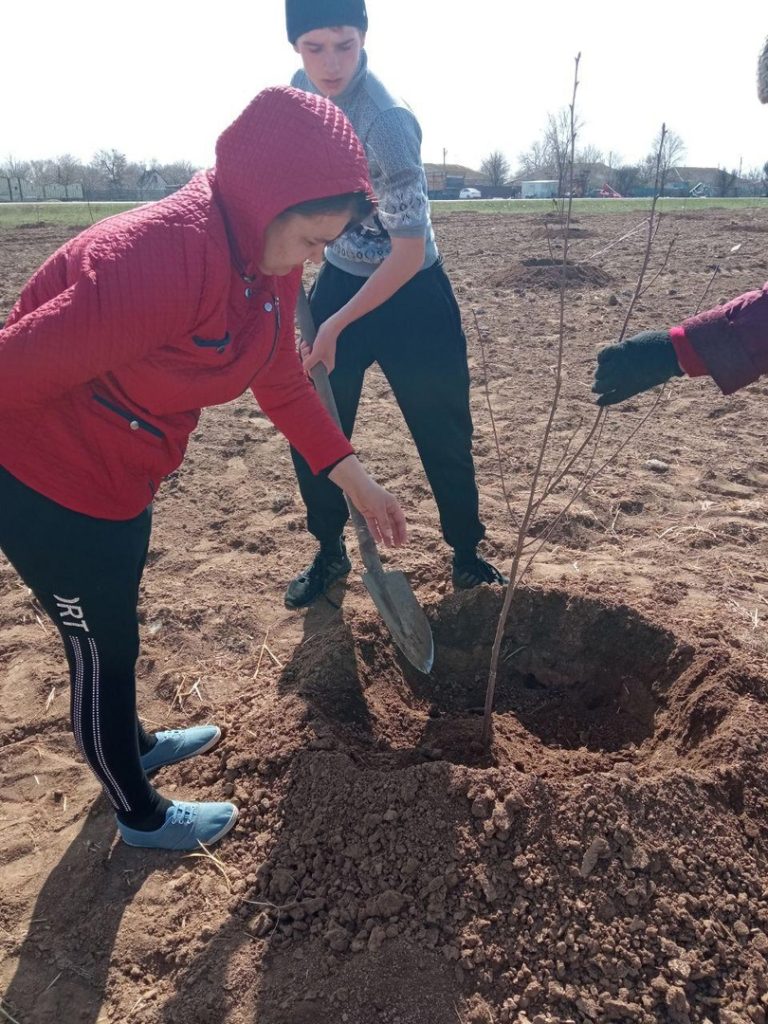Отремонтировали пешеходные дорожки и высадили саженцы деревьев: В с. Тюльпаны навели порядок на общественных территориях