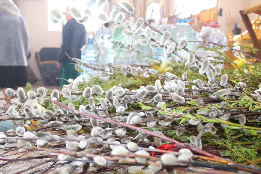 Вербное воскресенье: Жители Заветинского района посетили праздничную службу в храме св. Николая Чудотворца