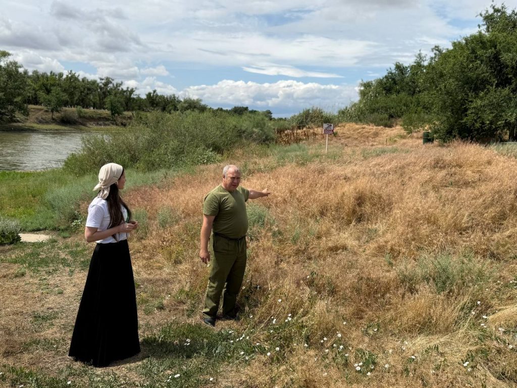 На территории Никольского, Шебалинского сельских поселений проведены рейдовые мероприятия по водоемам