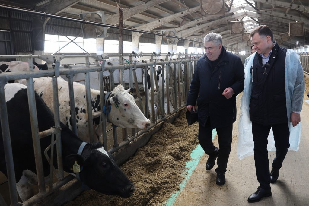 Юрий Слюсарь поручил минсельхозу разработать дополнительные меры поддержки донских животноводов