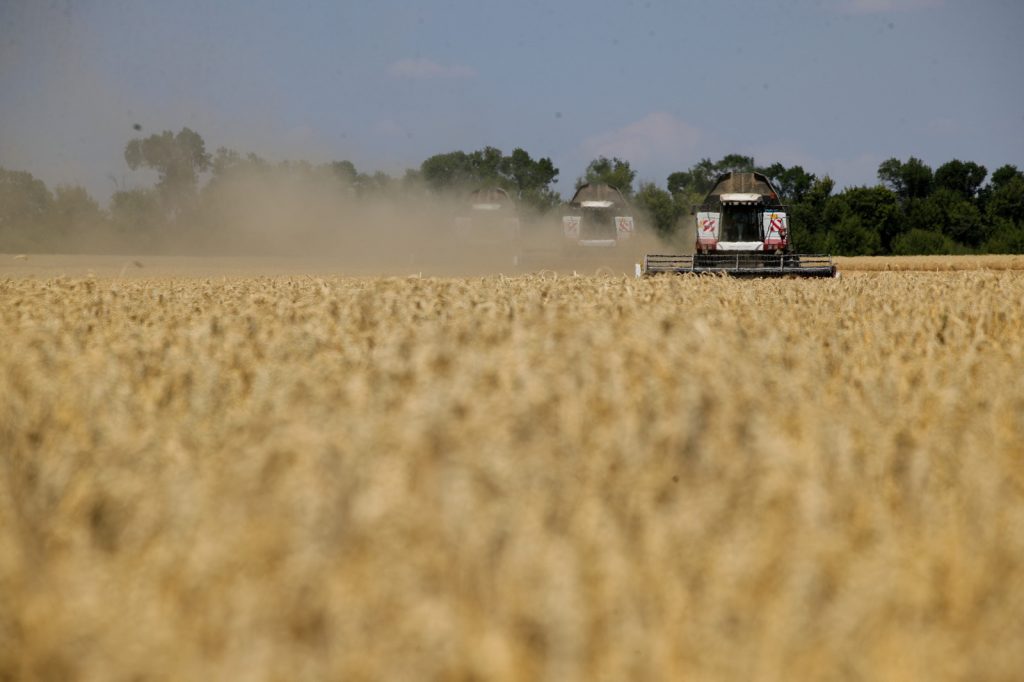 Донские аграрии собрали 1,75 млн тонн зерна нового урожая