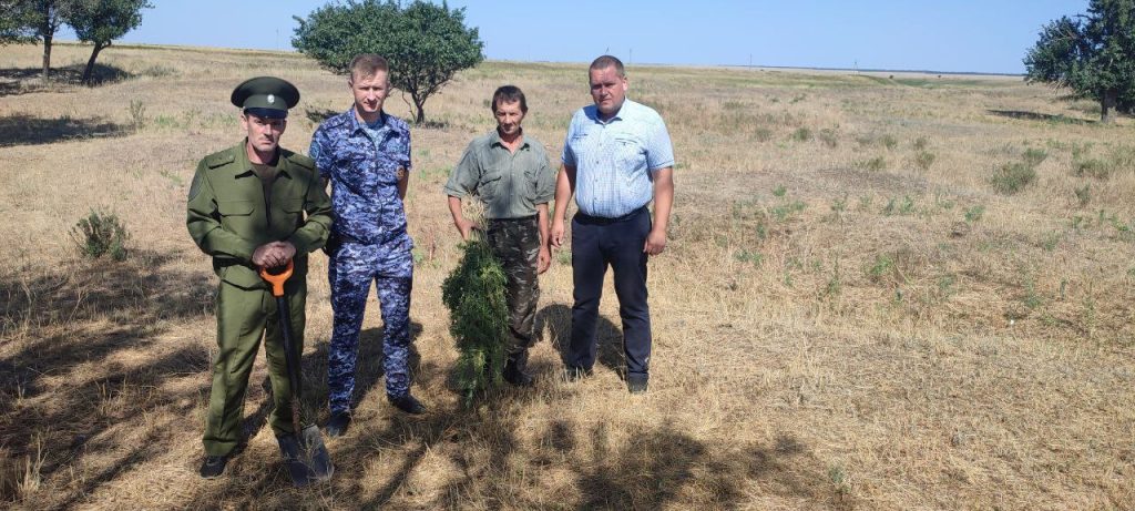 В Никольском сельском поселении проведен рейд по уничтожению очагов дикорастущей конопли