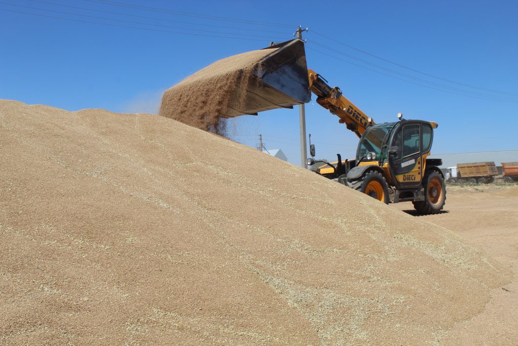 Уборочная кампания завершилась: район собрал богатый урожай