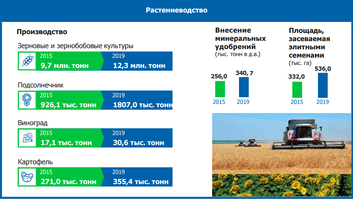 Посевные площади зернобобовых. Регионы Лидеры по выращиванию пшеницы. Районы-Лидеры по посевным площадям зерновых. Лидеры по производству подсолнечника.
