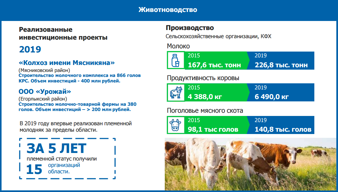 Проект открытие фермерского хозяйства по мясному скотоводству это