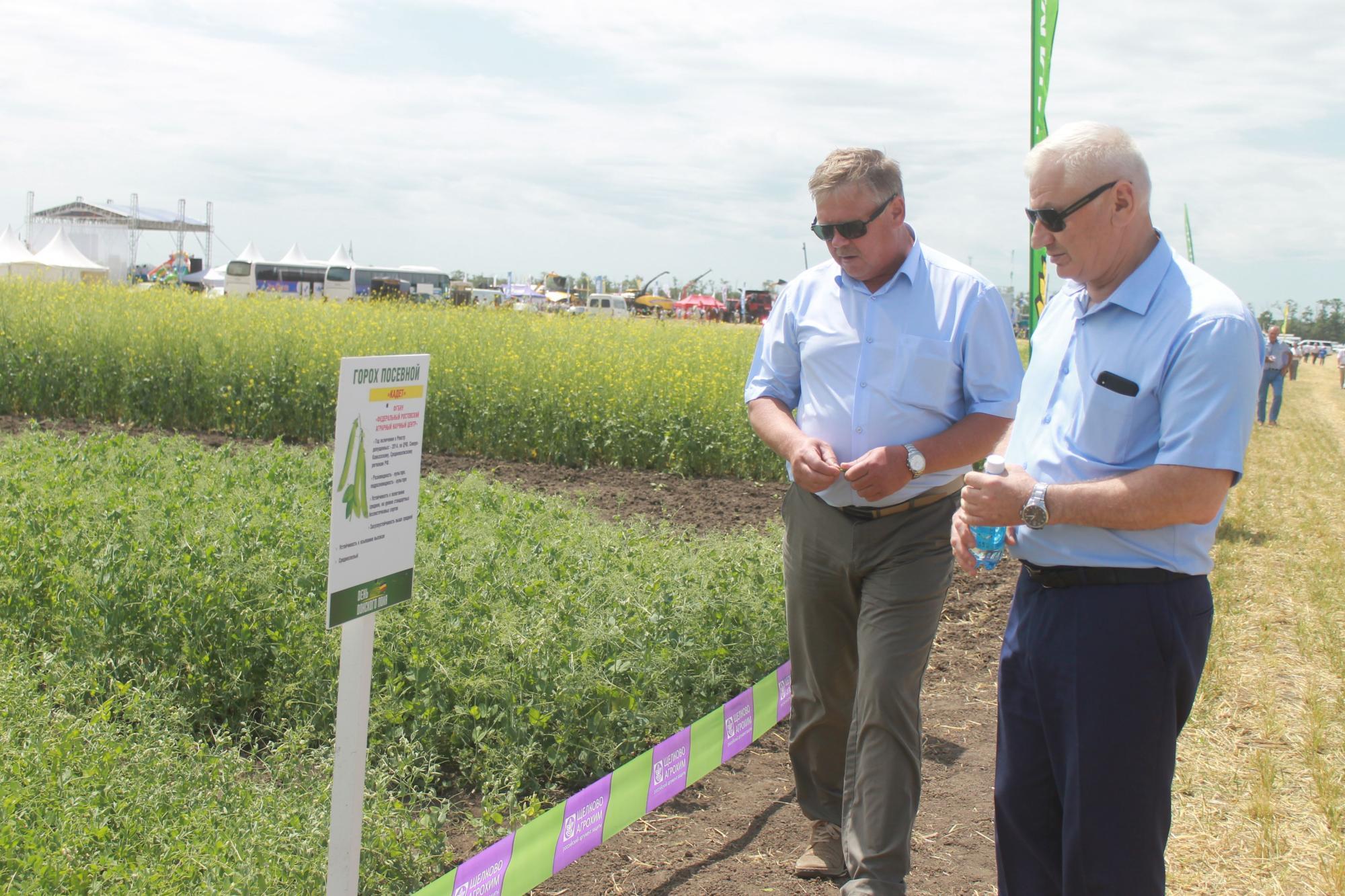 Осмотр селекционных делянок